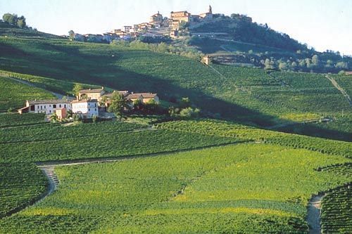 كاستيغليوني فاليتو Cascina Rocca - Guest House المظهر الخارجي الصورة